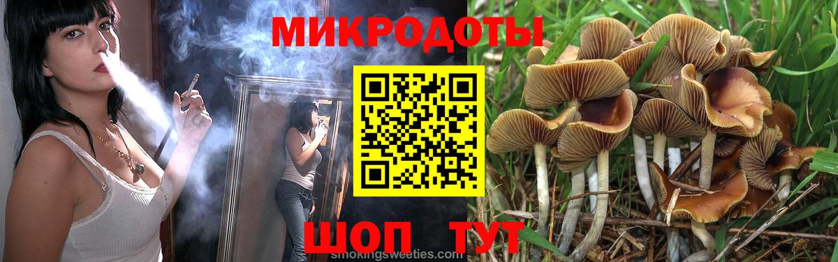 Электросталь  Галлюциногенные грибы Psilocybe  Вход с VPN 